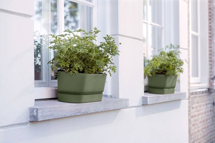 greenville trough long 50cm leaf green